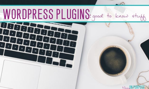 How to Install WordPress Plugins (& Warnings)