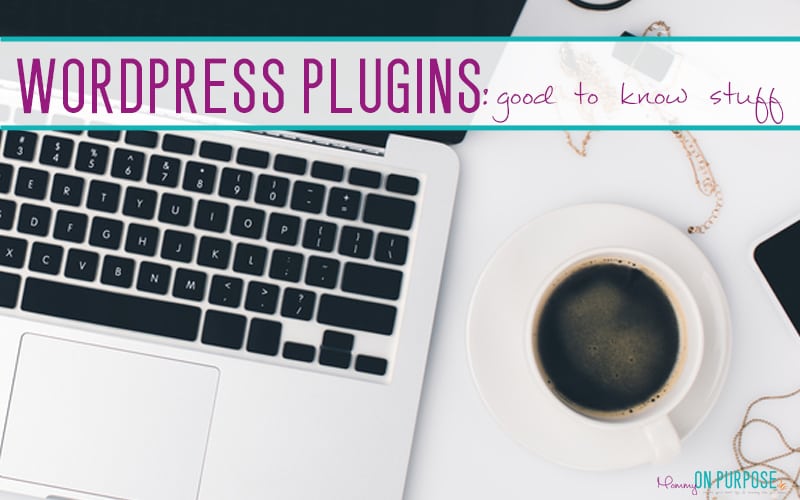 How to Install WordPress Plugins (& Warnings)