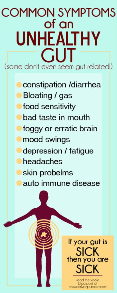 if your gut is sick, you are sick