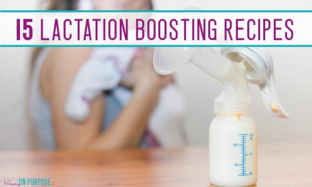 15 Lactation Boosting Recipes