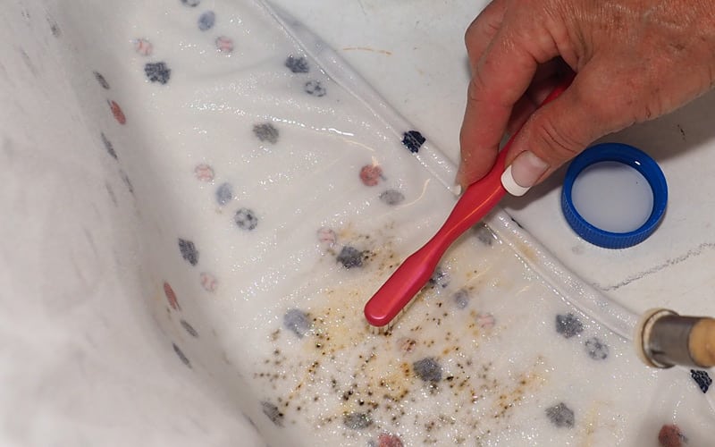 how to remove mildew stains from clothes and blankets