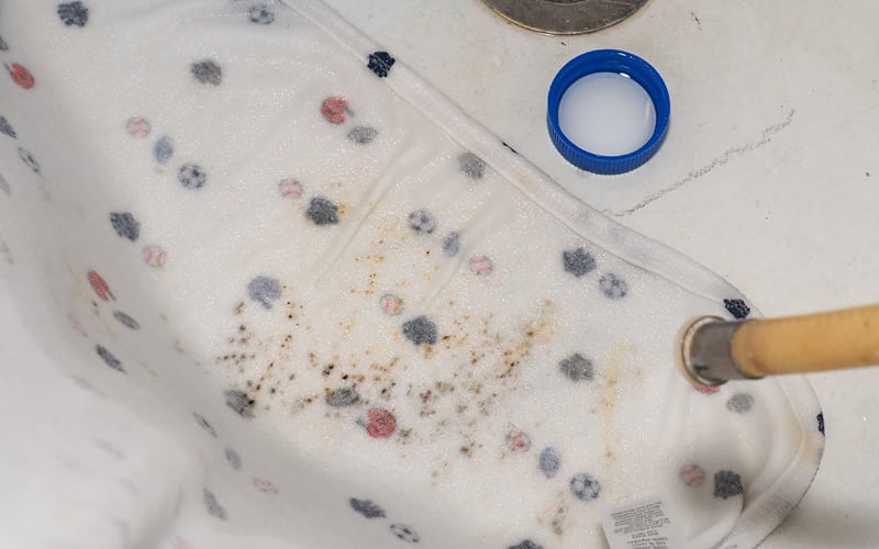 how to remove mildew stains from clothes and blankets