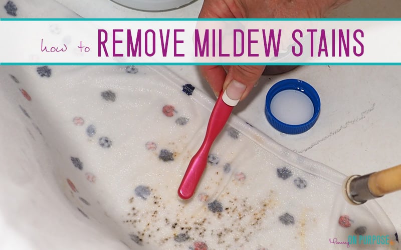 how to remove mildew stains from clothes and blankets