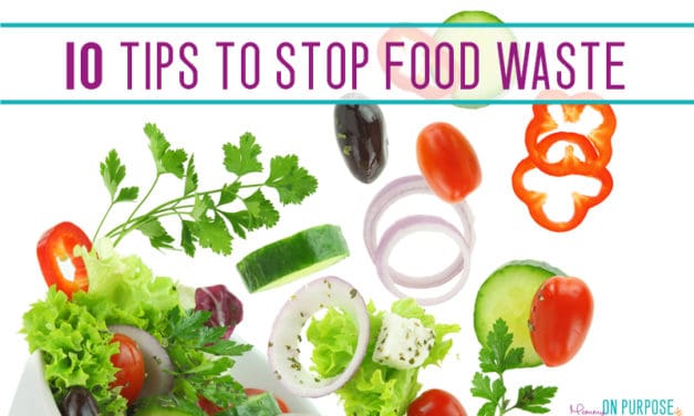 Stop Wasting Food – and SAVE MONEY!