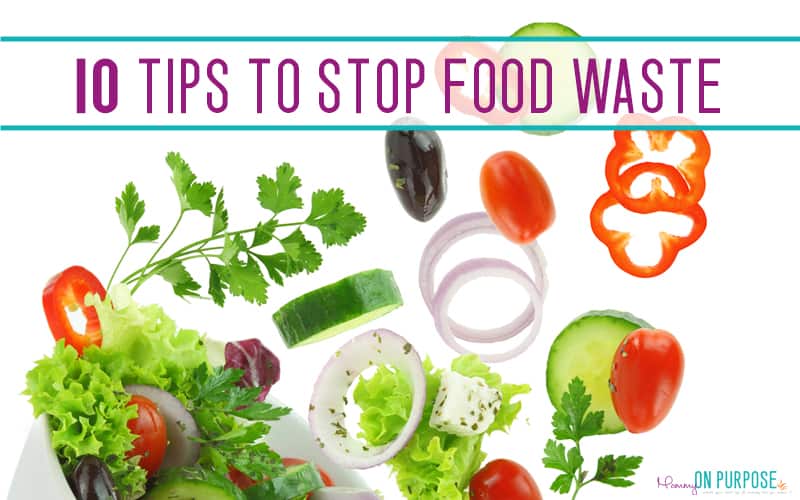 Stop Wasting Food – and SAVE MONEY!