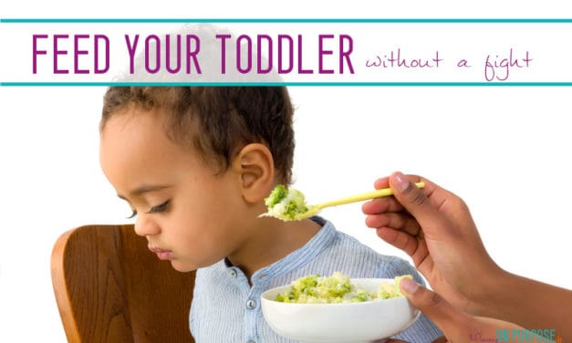 How to Feed Your Toddler Without a Fight