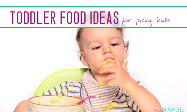 Toddler Food Ideas – What to Feed a Picky Eater (you ARE tired of making things they don’t eat)